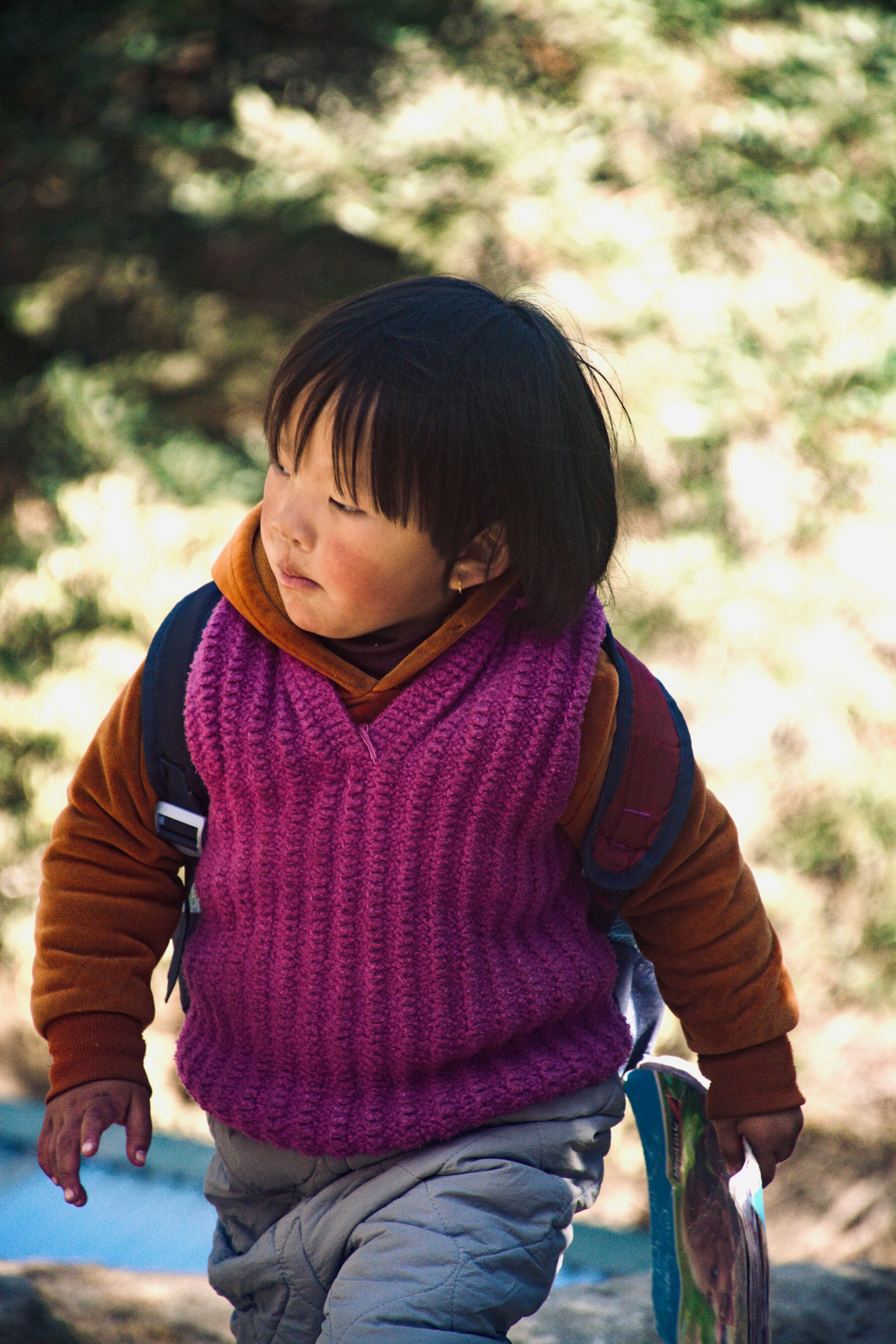 Fly to Lukla (2,860m) – Trek to Phakding (2,610m)